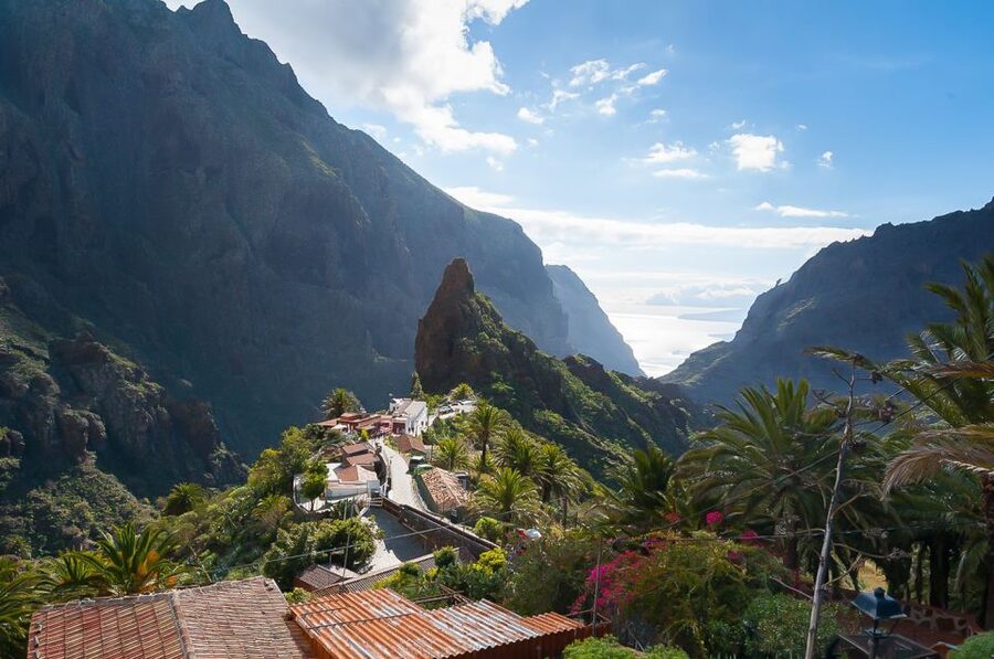 Tenerife: Teide National Park Full-Day Tour with Pickup - The Icod de los Vinos stop: Drago tree and a quick flavor of Canarian life