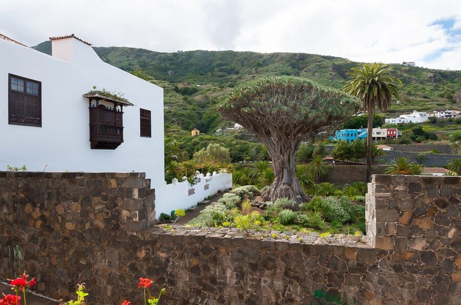 Tenerife: Teide National Park Full-Day Tour with Pickup - The Teide climb begins before you reach Teide