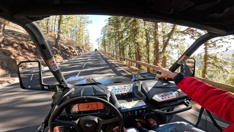 Tenerife: Teide National Park Guided Buggy Tour - Meeting at Las Chafiras, Then Heading Into South Tenerife