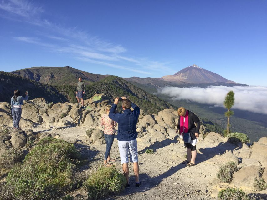 Tenerife: Teide National Park & Teno Rural Park Private Tour - Who should book this tour