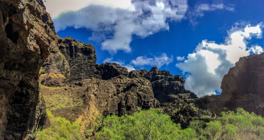 Tenerife: Teide National Park & Teno Rural Park Private Tour - Teno Rural Park: hamlets, pine-covered hills, and Masca Valley views