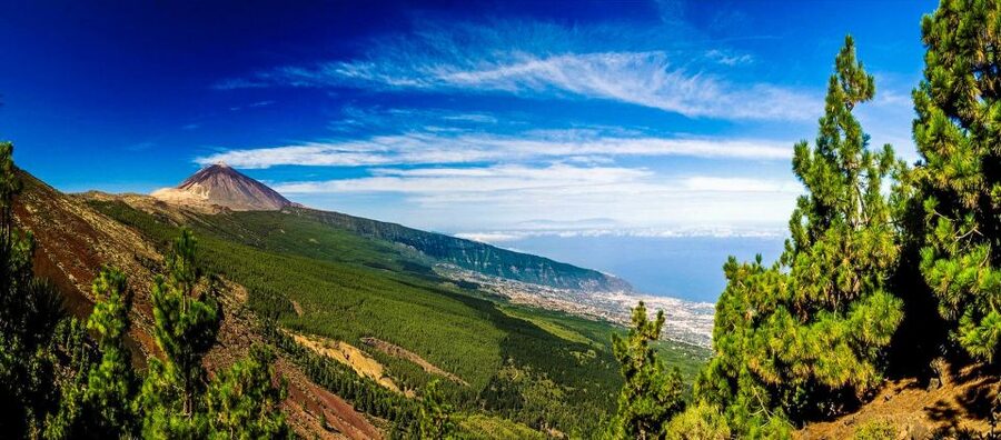 Tenerife: Teide National Park & Teno Rural Park Private Tour - Teide National Park: the volcanic walk above the clouds