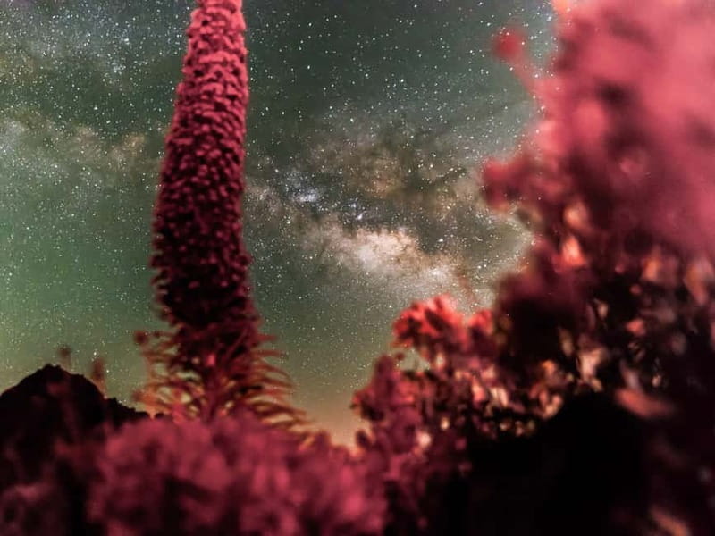 Tenerife: Teide Stargazing with an Astrophysicist - FAQ
