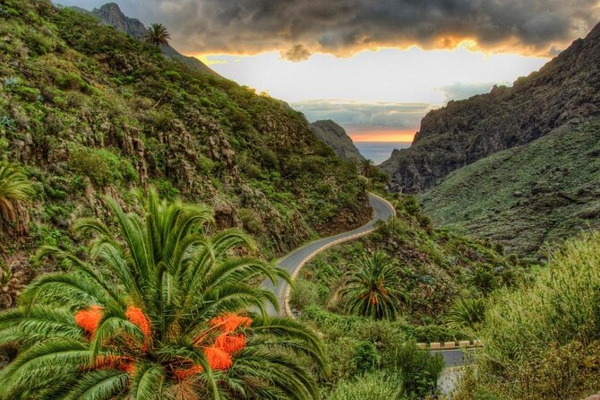 Tenerife Tour Mt. Teide and the Towns of Icod, Garachico, Masca - Key highlights worth your attention