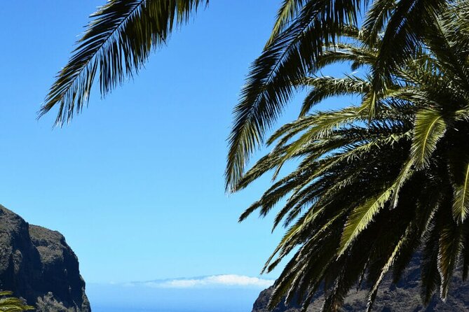 Tenerife Tour Mt. Teide and the Towns of Icod, Garachico, Masca - Guide style, languages, and why you might feel rushed