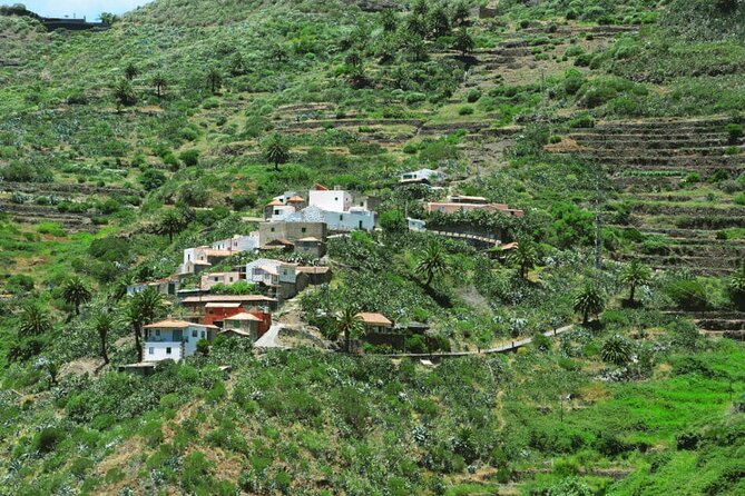 Tenerife Tour Mt. Teide and the Towns of Icod, Garachico, Masca - Icod de los Vinos and the El Drago Milenario dragon tree