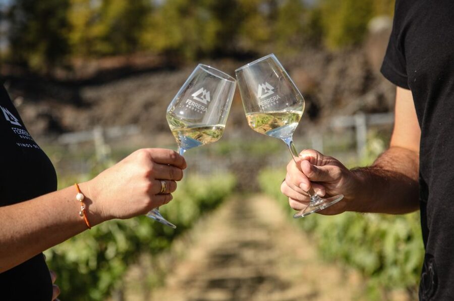 Tenerife: Tour of an Organic Vineyard with Tasting & Snacks - From Vines to Glass: Four Wines and Canarian Pairings