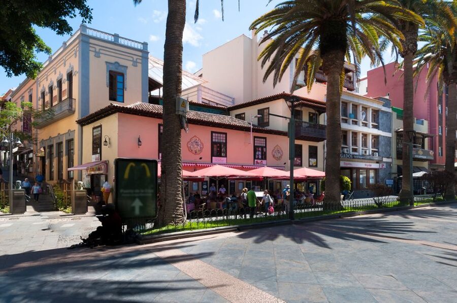 Tenerife: Trip to Puerto de la Cruz - Key Things to Know Before You Go
