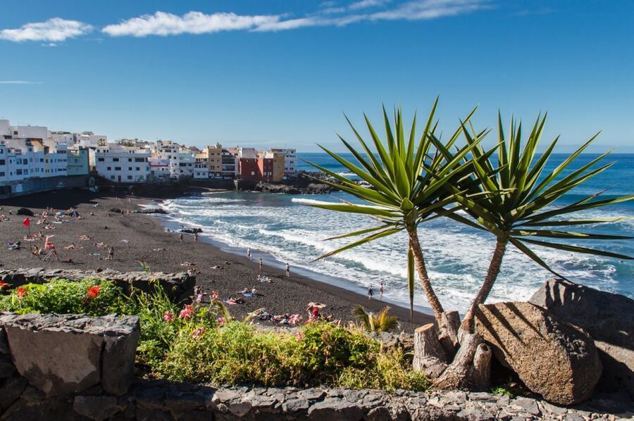 Tenerife: Trip to Puerto de la Cruz - Price and Value: About $28 for an Northwest Day