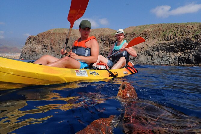 Tenerife: Turtle & Dolphin Kayak Tour with Snorkel & Wetsuit - Launch From Los Cristianos, With Guaza Mountains Watching