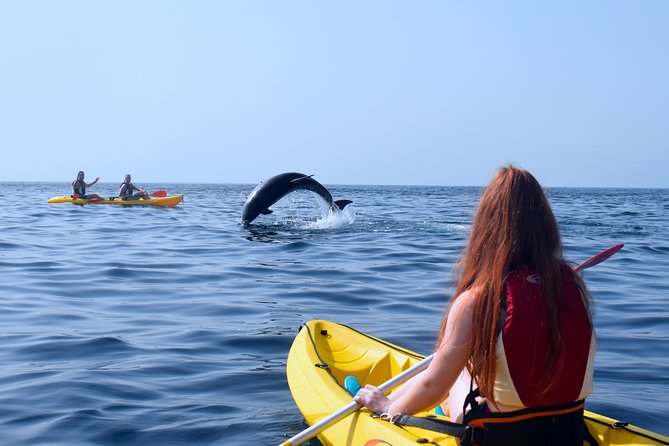 Tenerife: Turtle & Dolphin Kayak Tour with Snorkel & Wetsuit - Midway Snorkel Break: Clear Water, Provided Kit, Simple Pace
