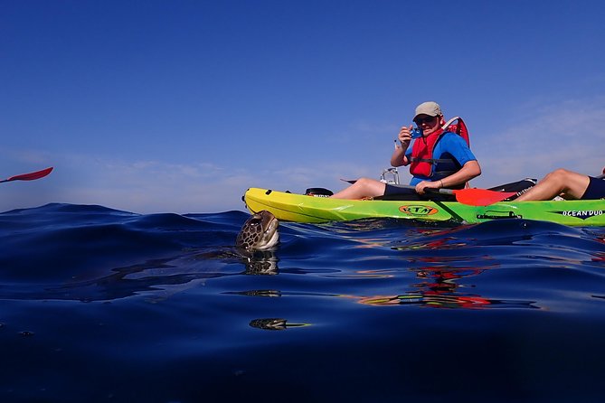 Tenerife: Turtle & Dolphin Kayak Tour with Snorkel & Wetsuit - Paddling Between Bays, With Teide on the Way Back
