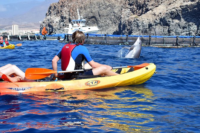 Tenerife: Turtle & Dolphin Kayak Tour with Snorkel & Wetsuit - Guides Make the Difference, From Instruction to Photos