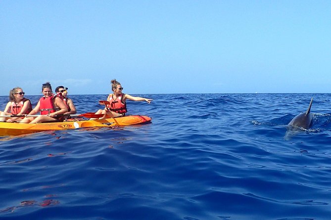 Tenerife: Turtle & Dolphin Kayak Tour with Snorkel & Wetsuit - Price and Value: The $42.33 Factor