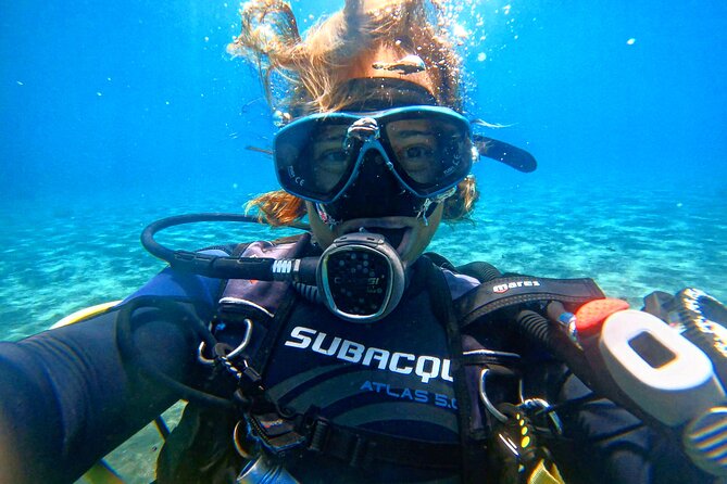 Tenerife Under The Sea - dive into 1-1 personalised experience - Underwater Expectations: What You Might See Around Tenerife