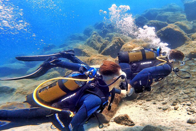 Tenerife Under The Sea - dive into 1-1 personalised experience - Flexible Dive Locations and Timing That Follow Your Comfort