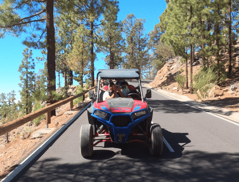 Tenerife: Volcano Teide Buggy Tour with Wine Tasting & Tapas - Vineyard wine tasting and tapas: the calm finish that makes sense