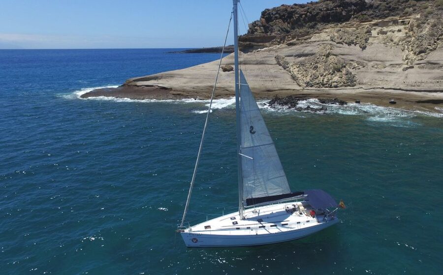 Tenerife: Whale and Dolphin Watching Tour by Sailboat - Quick hits before you go