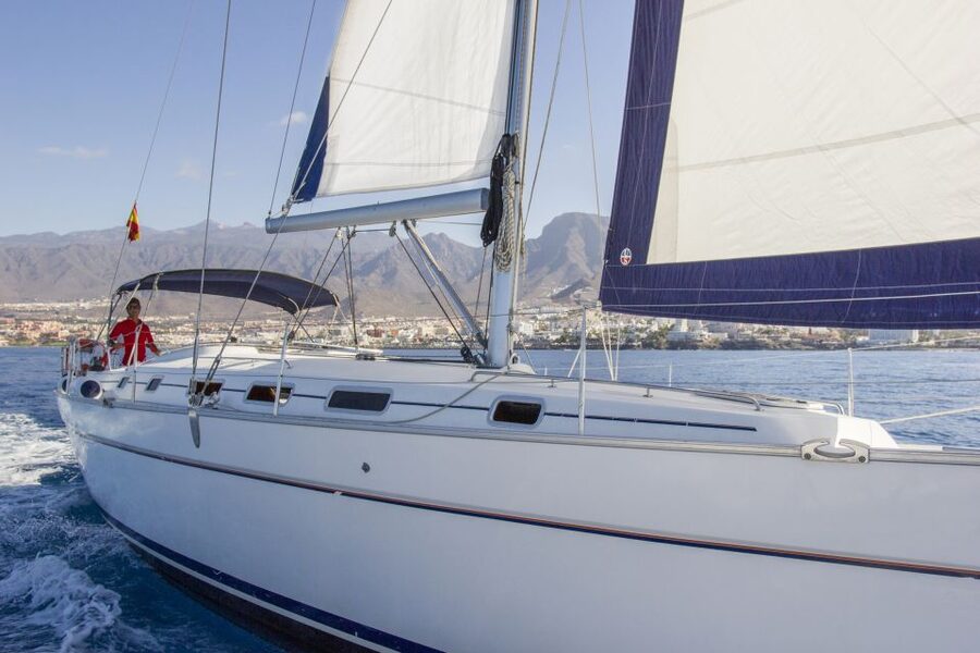 Tenerife: Whale and Dolphin Watching Tour by Sailboat - Should you book this Tenerife whale watch by sailboat?
