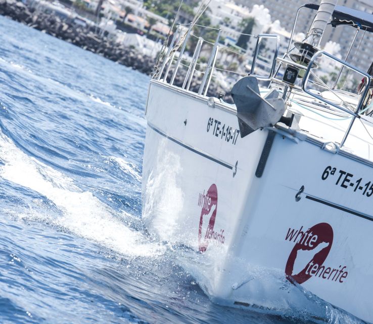 Tenerife: Whale and Dolphin Watching Tour by Sailboat - Comfort rules: what is included, what is not, and what to pack
