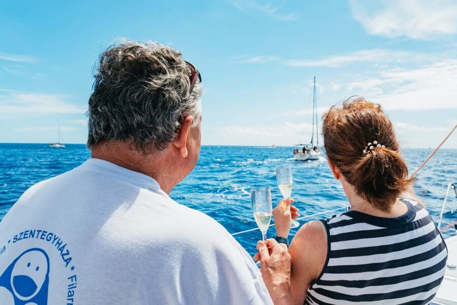 Tenerife: Whale & Dolphin Watching with Drinks and Snacks - Practical Packing List (So You Don’t Waste Time Onboard)
