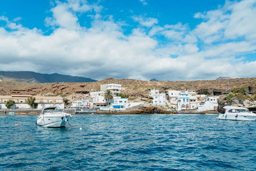 Tenerife: Whale & Dolphin Watching with Drinks and Snacks - The Secluded Bay Snorkel: Gear Included, But Bring Your Own Towel
