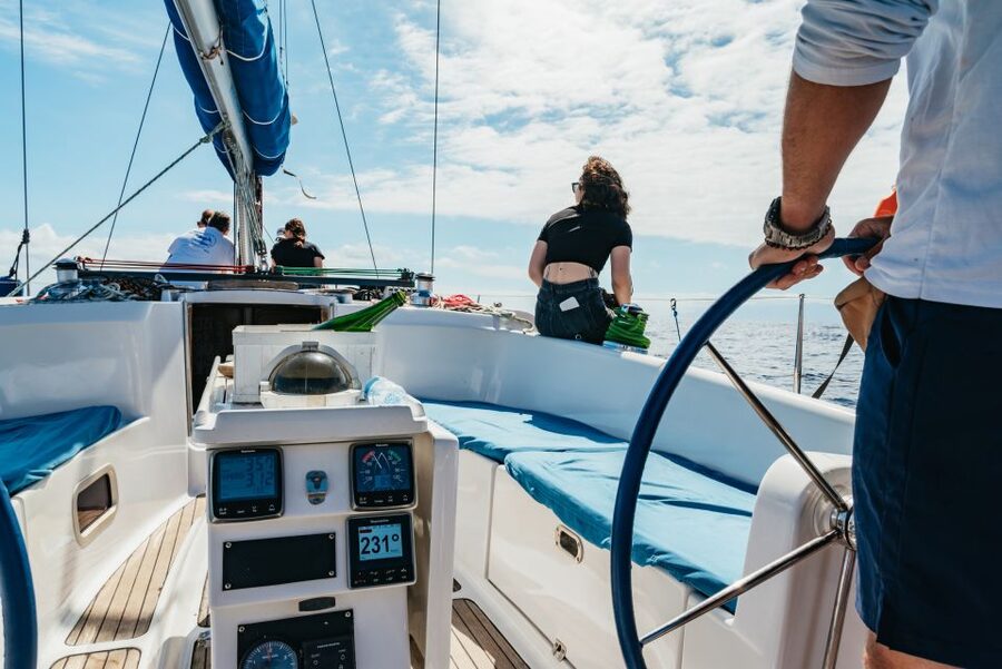 Tenerife: Whale & Dolphin Watching with Drinks and Snacks - Price and Value Around $77 for a 3-Hour Yacht Cruise