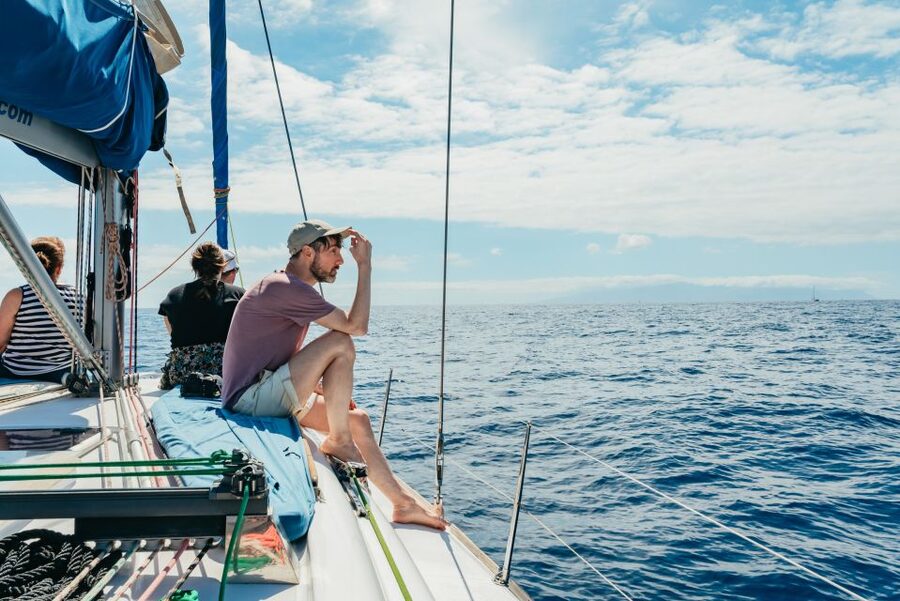Tenerife: Whale & Dolphin Watching with Drinks and Snacks - Crew, Safety, and Seasickness Reality on a Sailing Boat
