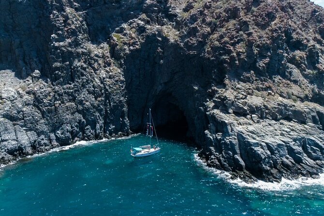 Tenerife Whale Watching and Snorkeling Yacht Trip - Key highlights