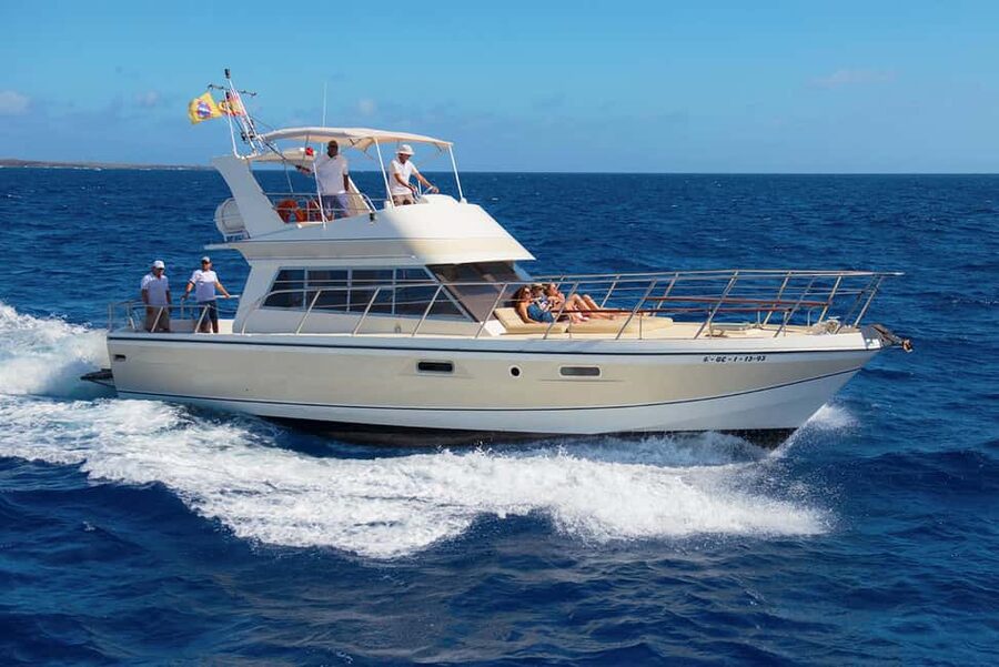 Tenerife: Whale watching tour with swim and lunch on yacht for 22 passengers - Los Cristianos pilot whales, and why this part of Tenerife works