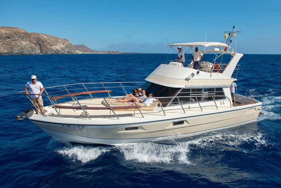 Tenerife: Whale watching tour with swim and lunch on yacht for 22 passengers - The Neptuno yacht setup: comfort, views, and practical onboard space