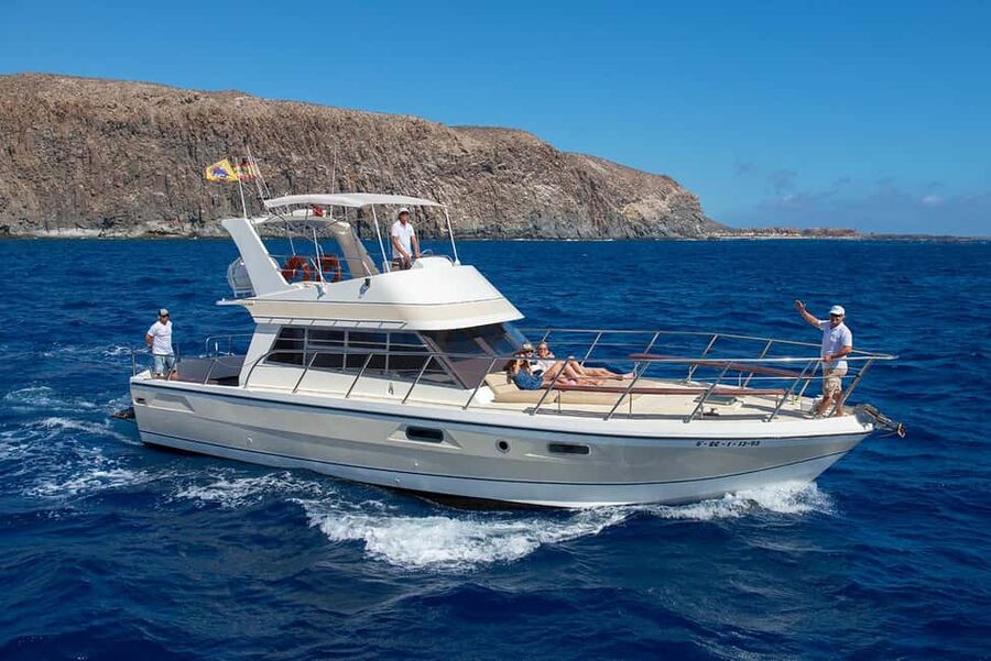 Tenerife: Whale watching tour with swim and lunch on yacht for 22 passengers - The 1.5-hour whale watching off Los Cristianos: what to look for
