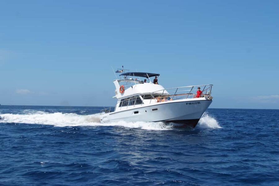 Tenerife: Whale watching tour with swim and lunch on yacht for 22 passengers - Swimming near the cliffs plus onboard lunch: the day’s best reset