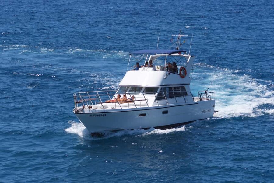 Tenerife: Whale watching tour with swim and lunch on yacht for 22 passengers - Who should book, and who should think twice