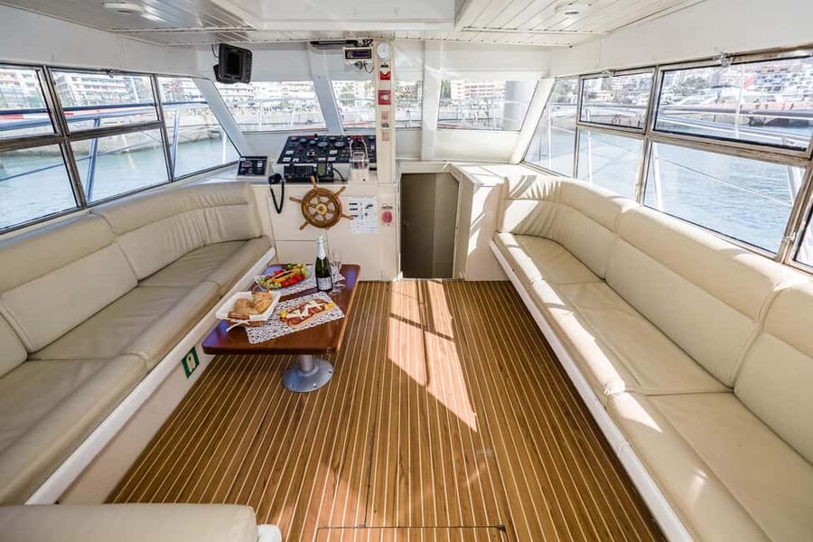 Tenerife: Whale watching tour with swim and lunch on yacht for 22 passengers - Should you book Neptuno Whale Experience Tenerife?