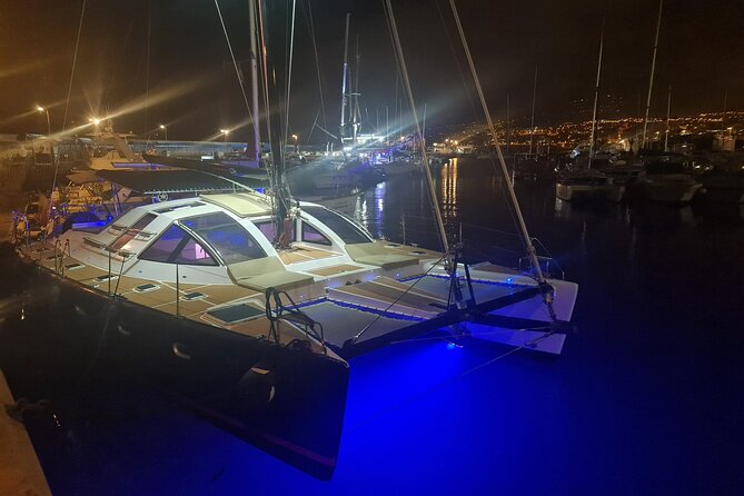 Tenerife Whales and Dolphins Watching Experience in Catamaran - Entering The Trip: Why the South Coast Catamaran Works