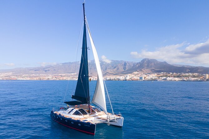 Tenerife Whales and Dolphins Watching Experience in Catamaran - Onboard Catering: The Part You Will Feel During the Trip