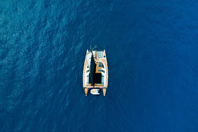 Tenerife Whales and Dolphins Watching Experience in Catamaran - Who the Crew Is Suited For (And Who Might Need a Different Plan)