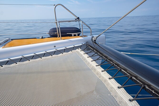 Tenerife Whales and Dolphins Watching Experience in Catamaran - Price and Value: What $68.98 Buys You in Real Terms