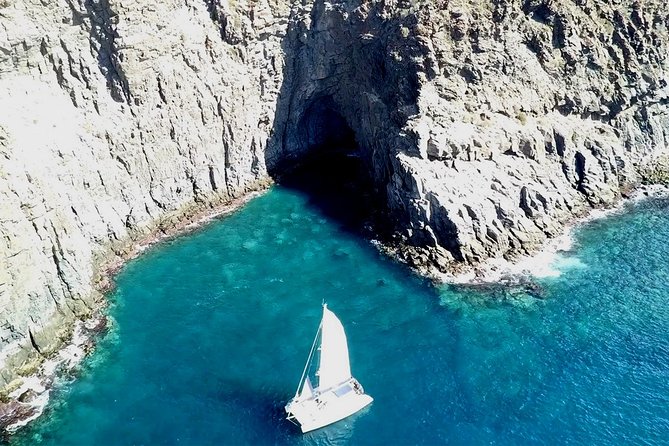 Tenerife Whales and Dolphins Watching Experience in Catamaran - What to Expect Day-Of: Timing, Group Size, and Comfort