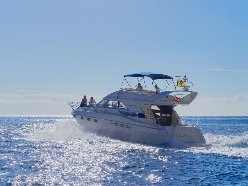 Tenerife: Whales and Snorkeling Tour on a Luxury Yacht - Palm-Mar Cruise, Champagne Tasting, and the Scenic Return