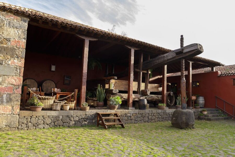 Tenerife: Wine Museum Ticket with Local Wines & Food Tasting - Price and value: does $18 feel fair for 2 hours of wine and food?