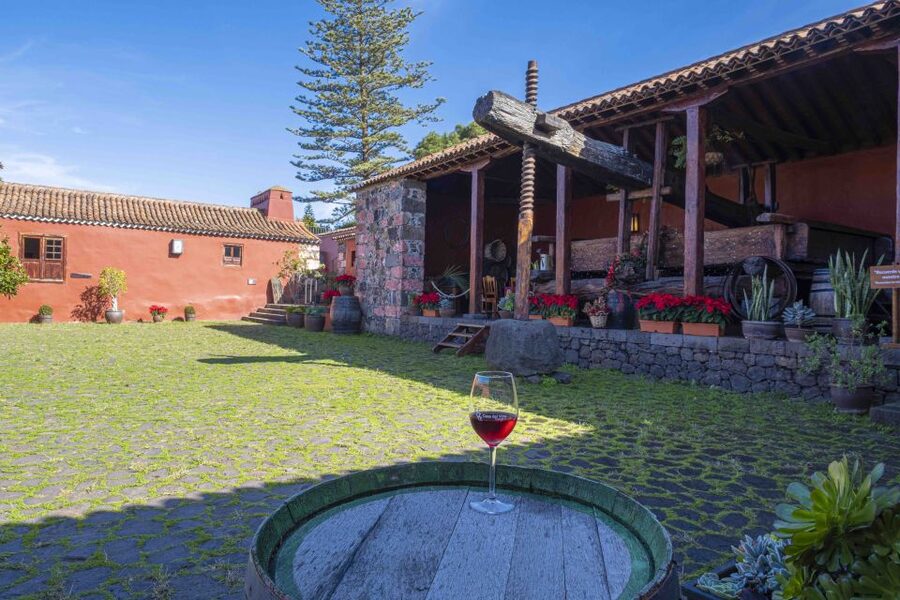 Tenerife: Wine Museum Ticket with Local Wines & Food Tasting - Who should book Casa del Vino, and who might skip it