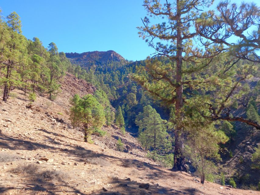 The Wow Factor Walk - The First Phase: Forest Trails and Barranco Crossings
