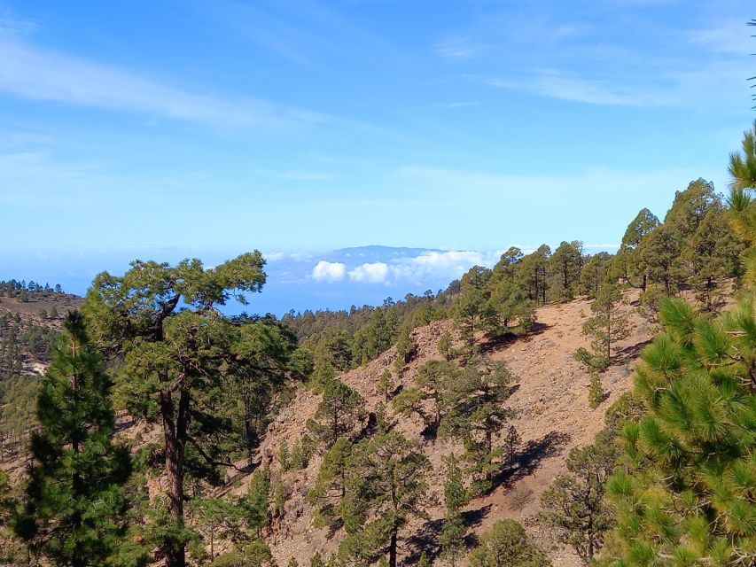 The Wow Factor Walk - Photo Opportunities and Why the Guide Adds Real Value