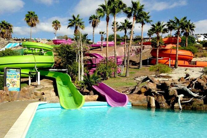 Ticket to Aqualand Tenerife - Dolphin show: the non-slide break that changes the rhythm