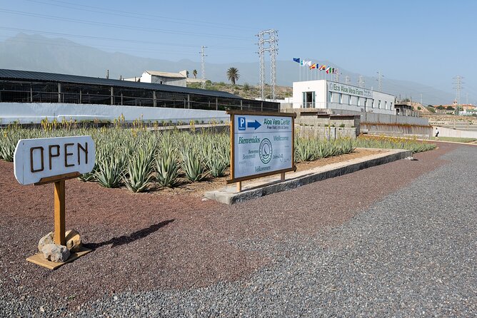 Tour Visiting banana plantation and winery in Tenerife - Bananas and Wine in One Half-Day: The Real Vibe