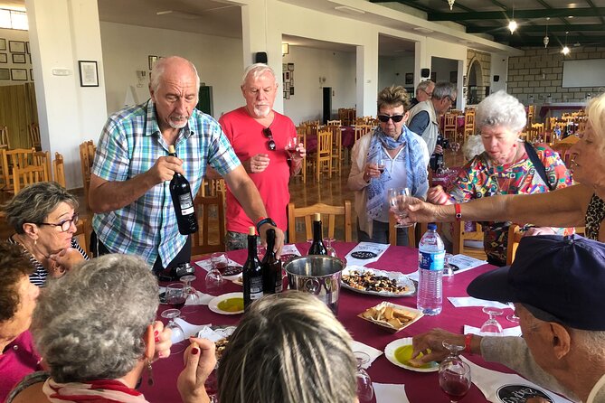 Tour Visiting banana plantation and winery in Tenerife - Finca Las Margaritas Banana Experience: Learning That Tastes Like Something