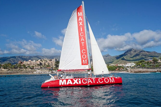 Tour with Whale and Dolphin Watching plus food included - Key highlights you should care about