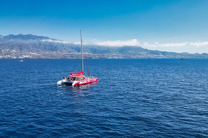 Tour with Whale and Dolphin Watching plus food included - Getting on board at Puerto Colón, and what to expect
